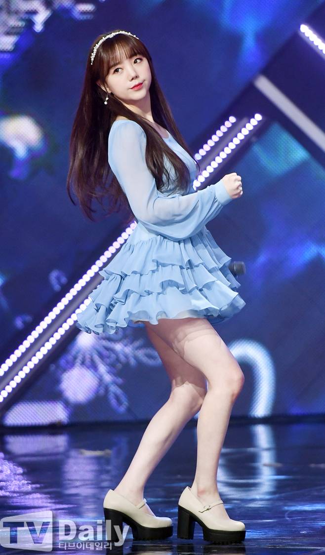 티브이데일리 포토