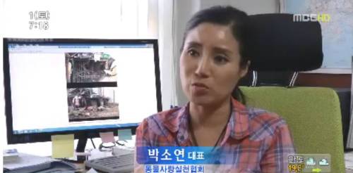 2012년&nbsp;동물구조 후 기소돼&nbsp;MBC 뉴스에서 인터뷰 중인 박소연 대표. &nbsp;