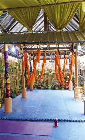 공기가 맑은 치앙마이에서는 나무와 꽃 등 자연 속에서 요가를 즐길 수 있다.