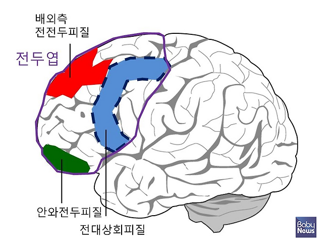 능동적 집중력의 뇌. ⓒ김영훈