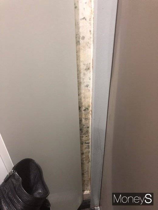 결로 현상으로 인해 곰팡이가 핀 모습. /사진=석모씨 제공