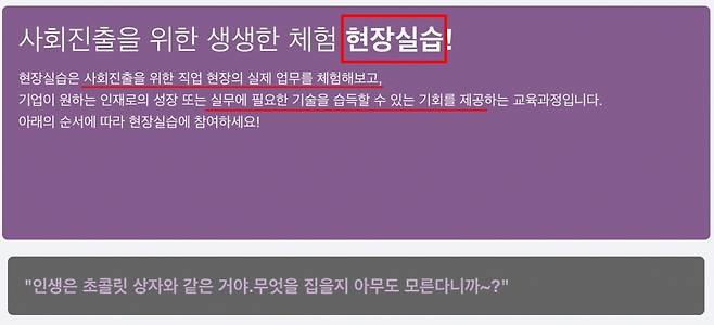 대학교 진로 취업 페이지에 소개된 '현장실습'. 사회진출을 위한 직업 현장의 실제 업무를 체험하고, 실무에 필요한 기술을 습득할 수 있는 기회를 제공한다는 설명이다./사진=대학교 진로·취업 페이지 캡처