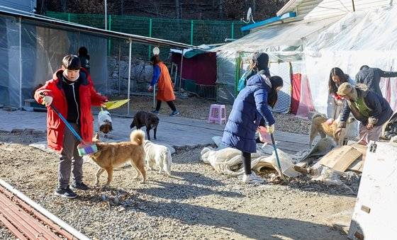 소중 학생기자단이 반려견 울타리 안 청소에 나섰다.