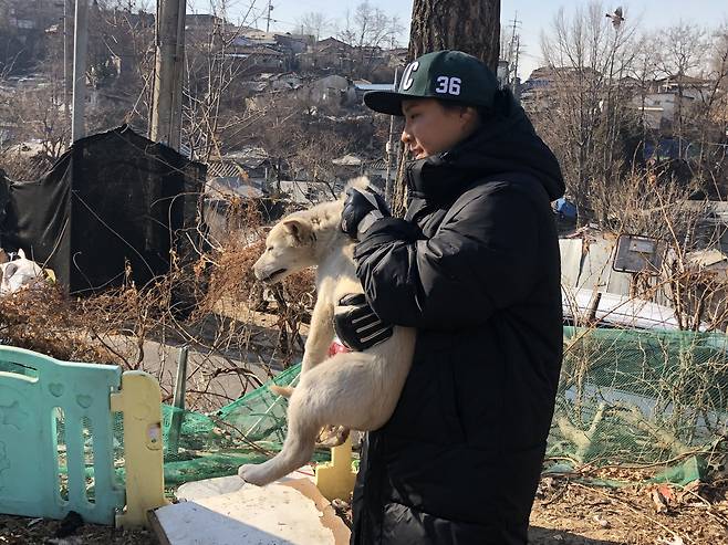 백사마을 유기견 구조 프로젝트  - 주관 : 동물구조119, 마들종합사회복지관주최 : 고양시유기동물거리입양캠페인, 동행104, 동물구조119, 마들종합사회복지관, 풀무원 유기견봉사동아리 ‘파미오’, 한국성서대학교 동아리‘동동’후원 : 노원구청, 풀무원 아미오