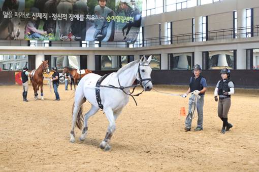 승용마 조련 관련 교육 모습.