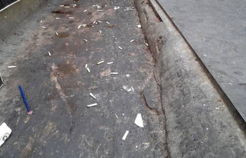 강남역 인근 거리에 버려진 담배꽁초. 김동환 기자