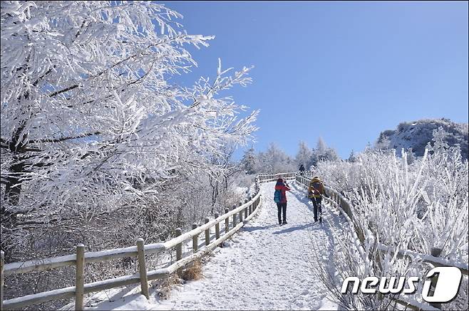 바래봉 주변 허브밸리일원에서 눈꽃 축제가 열린다. 남원시 제공© 뉴스1