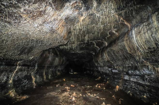 용천동굴은 용암동굴이면서도 석회암동굴처럼 대규모 석회생성물이 형성된 세계적으로 희귀한 동굴이다.  이준헌 기자 ifwedont@kyunghyang.com