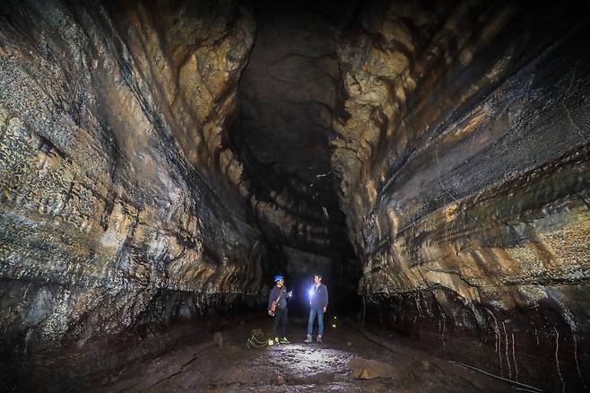 2005년 용천동굴 발견 이후 지금까지 5회의 조사가 이뤄졌다. 그 과정에서 통일신라시대의 유물과 동굴성 희귀어류 등이 발견됐다. 이준헌 기자 ifwedont@kyunghyang.com
