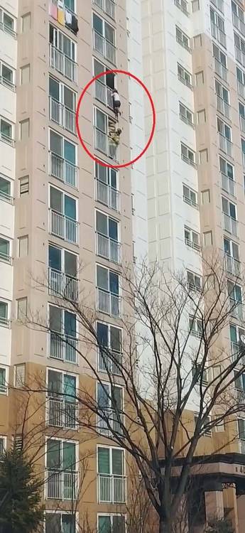[독자 제공]