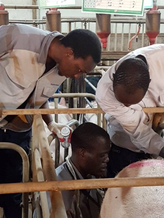 [사진=두지포크]