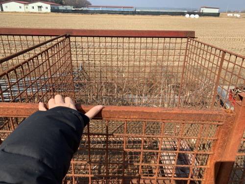 개 농장 인근에 빈 우리가 덩그러니 놓여있다.