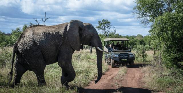 음릴와네 야생동물보호구역에선 베이스캠프까지 트럭으로 이동하지만 이후 ‘워킹 사파리’가 가능하다. /사진제공=에스와티니관광청