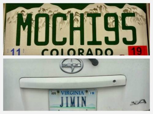 미국내 지민 자동차 번호판 모습