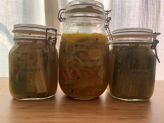 발효 피클(양 옆)과 즉석 피클(가운데)을 각각 병에 담았다. 피클을 담을 병은 미리 끓는 물로 살균하는 게 좋다. 이용재 제공