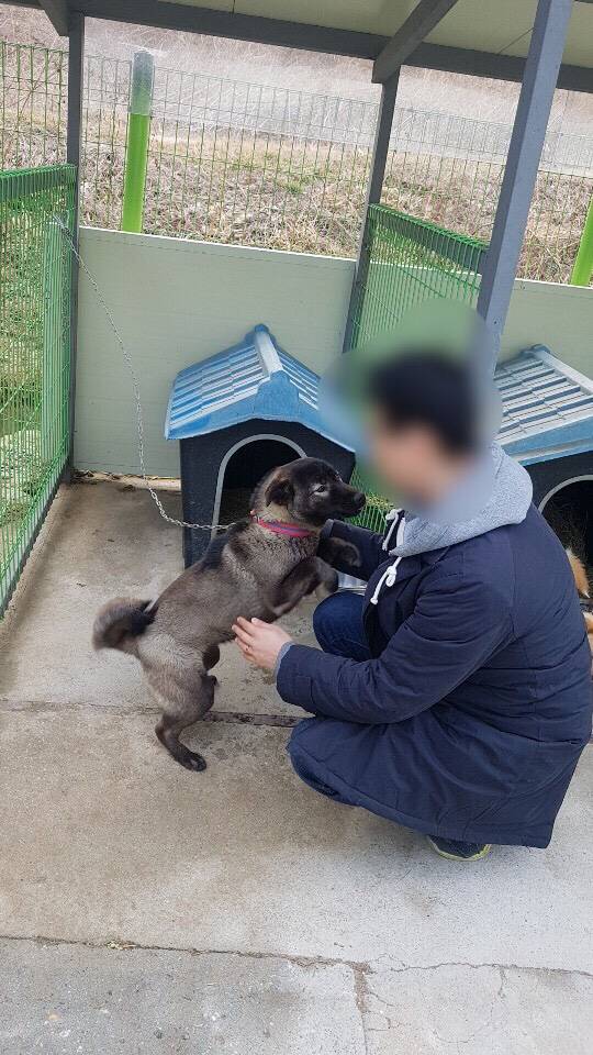 강릉 유기견보호소의 까망이. 이 녀석, 좋다고 정말 과격하게 달려들었다. '넌 대체 왜 여기에 왔니' 생각에 뭉클했다./사진=팅커벨 프로젝트 황동열 대표