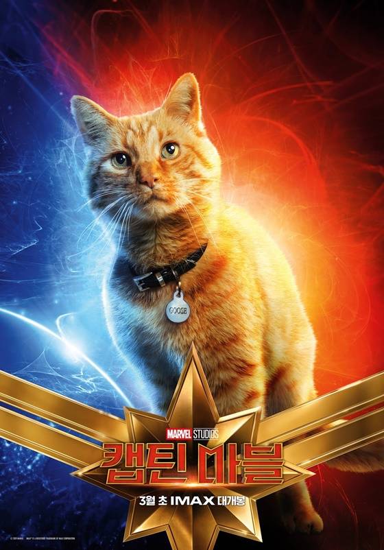 /사진=영화 '캡틴 마블' 고양이 구스 캐릭터 포스터