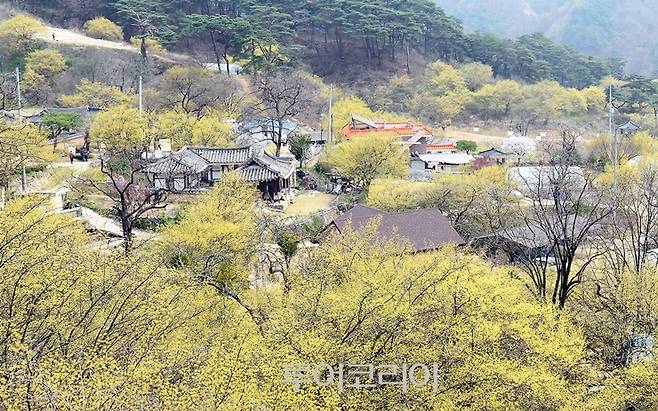 ▲ 봉화 띠띠미마을