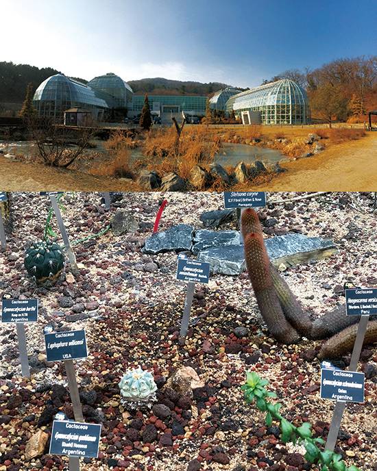 우리나라 대표 수목원, 국립수목원의 열대식물자원연구센터, 세계적으로 멸종 위기에 처한 CITES 등록 식물들도 보호하며 키우고 있다.