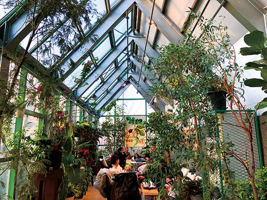 유리 온실의 끝 좌석에는 그림도 걸려 있고, 가장 먼저 자리가 찬다.