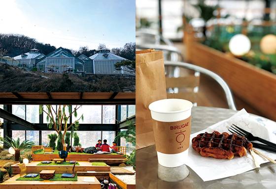 남양주 별내면의 별이 가깝게 보이는 언덕 꼭대기에 있는 비루개 식물원과 카페, 겨울철에 인기 있는 생강라테와 벨기에와플, 식물들이 가득한 실내 곳곳에 평상 스타일의 공간들을 만들었다.