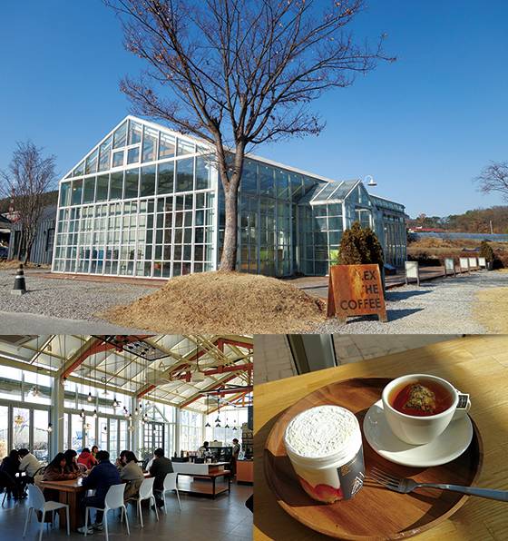 용인의 외진 논두렁 위에 세워진 유리 온실 카페 알렉스더커피, 유리 온실로 하루 종일 햇볕이 내리쬐는 환한 공간, 커피도 맛있지만 스미스 메도 티에 곁들이면 더 맛이 좋은 스노우베리케이크