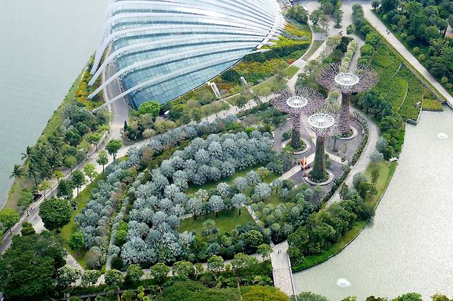 마리나 베이 샌즈 전망대에서 내려다본 풍경