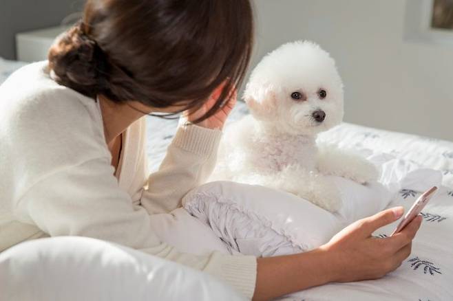 (사진=이미지투데이)