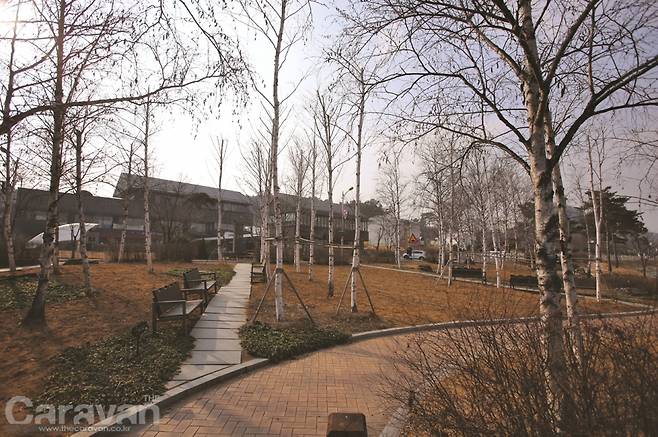 수변공원 주변 산책로