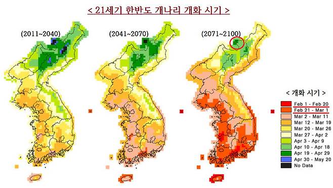 21세기 한반도 개나리 개화 시기(자료: 김진희 등, 2013)