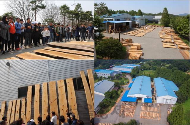 나무 경매가 이뤄지는 모습입니다. 거대한 나무들이 끝도 없이 펼쳐진 장관이 보기 좋은 것은 물론 나무 향이 가득해 마치 숲에 온 기분을 느끼실 수 있을 겁니다. /제공=최정석