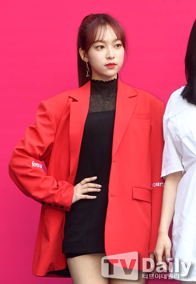 티브이데일리 포토