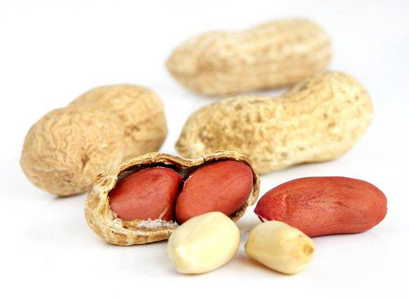 [사진=Beneda Miroslav/shutterstock]