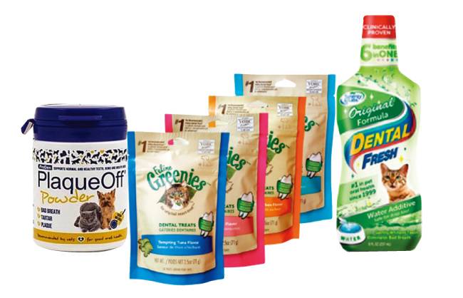 플라그 오프 제품과 고양이 덴틀 껌, 사료. 물에 타 먹이는 고양이 구강 관리 제품도 도움이 된다. [플라그오프, 그리니스, 덴탈프레쉬 홈페이지]