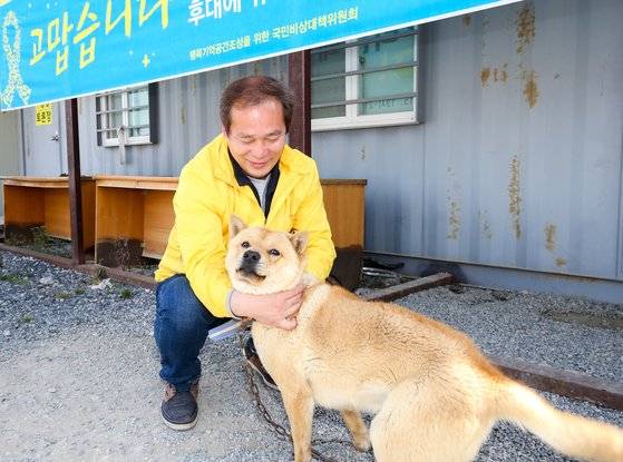 단원고 고(故) 고우재군 아버지 고영환(51)씨가 16일 진도 팽목항을 함께 지키는 진돗개 4마리 중 '붕붕이' 목을 어루만지고 있다. 진도 주민들이 세월호 유가족들에게 선물한 개다. 프리랜서 장정필