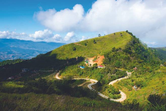 치앙라이 도이파탕국립공원은 어디를 가든 임도가 잘 조성돼 있어 차를 타고 상당히 높이까지 올라갈 수 있다.