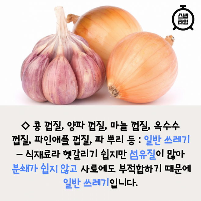 (사진=이미지투데이)