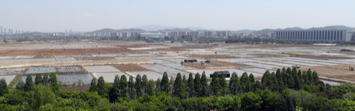 정부가 고양시 창릉동, 부천시 대장동에 제3기 신도시를 짓겠다고 발표한 7일 오전 경기도 부천시 대장동 신도시 대상 부지에서 농부들이 논일을 하고 있다. 연합