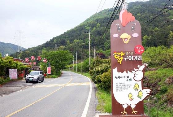 순천 청소골 닭구이 거리 어귀. 이 안내판 뒤로 20여 개 닭구이 집이 몰려 있다. 손민호 기자