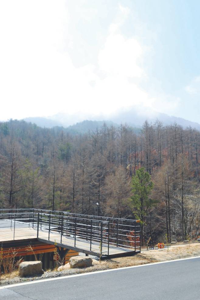 건물 위에 전망대를 만들어 뒀다.