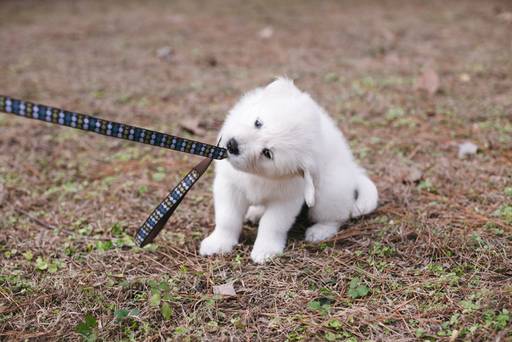 사진은 기사와 관련 없음. 게티이미지뱅크