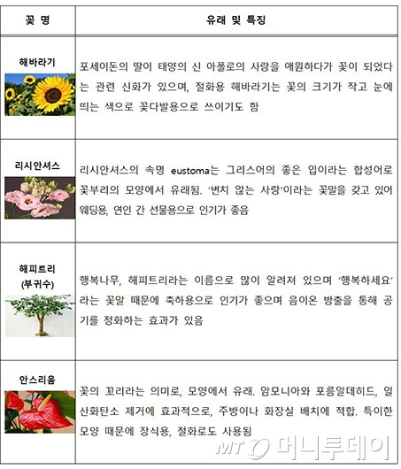 '2019 여름 꽃'으로 선정된 꽃의 특징.해바라기와 리시안셔스, 해피트리(부귀수)와 안스리움이 ‘2019년 여름 꽃’으로 선정됐다. 농식품부와 한국농수산식품유통공사(이하‘aT’)는 꽃과 식물의 새로운 가치 발굴과 꽃 생활 문화 확산을 위해 꽃 정보 큐레이션 개념의 ‘계절 꽃 프로젝트’를 추진한다. 선정된 계절 꽃을 중심으로 각종 온·오프라인 홍보마케팅과 연관 산업 박람회 ‘일상愛꽃’ 홍보관 운영, 1테이블 1플라워(1T1F) 캠페인 등 일상생활 속 꽃 소비 확대를 위한 다양한 대국민 홍보활동을 진행하고 있다. 사진제공=aT.