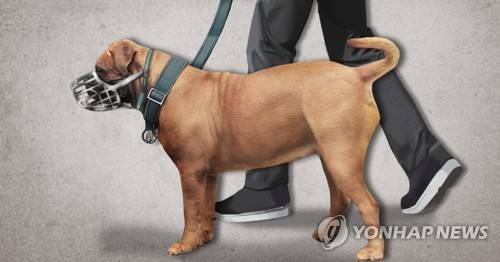 목줄·입마개한 개 [연합뉴스 포토 그래픽]