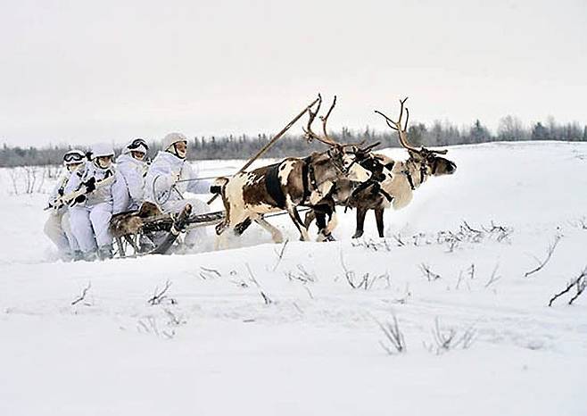 순록 썰매틀 타고 북극권 방어 훈련 중인 러시아 육군. [사진 러시아 국방부]