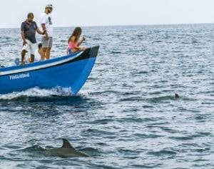 돌고래 워칭 투어