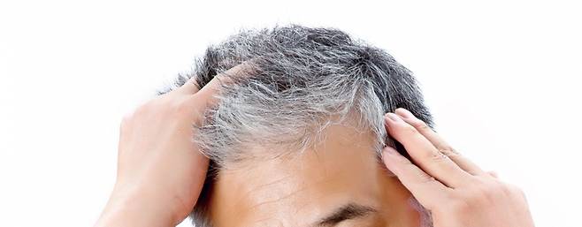 ⓒ 시사저널 임준선