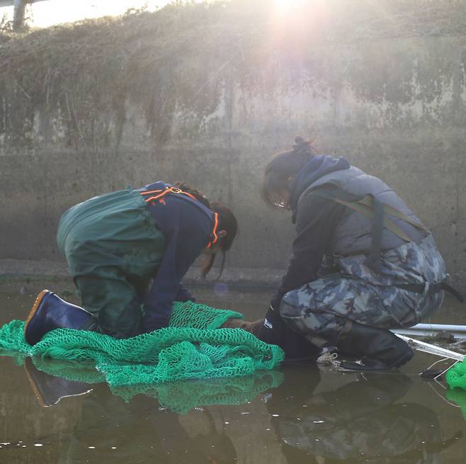 지난해 12월6일 충남 예산군 응봉면에서 충남야생동물구조센터 직원들이 농수로에 빠진 고라니를 구조하고 있다. 충남야생동물구조센터 제공