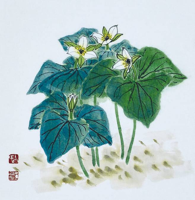 생명을 늘려주는 연령초.  연령초는 백합과로 연영초, 큰꽃삿갓풀, 우아칠芋兒七, 옥아칠玉兒七, 어아칠魚兒七, 불수칠佛手七이라고도 한다. 줄기 끝에 3개의 잎이 돌려나는데 넓은 달걀꼴에 사각형 비슷하다. 잎의 중앙에서 나온 꽃대에 꽃잎이 3개인 꽃 한 송이씩 달린다. 본초명은 연령초로 거풍, 지혈작용이 있다. 꽃말은 그윽한 마음, 장수長壽다. 연령초, 23X22.5cm, 백설지에 수묵담채, 2019