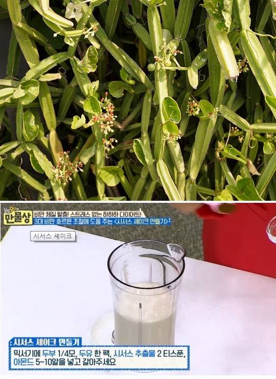 [TV조선 '내 몸 사용 설명서'방송 캡처]