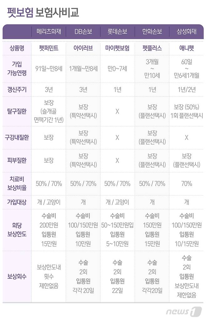 © News1 최수아 디자이너